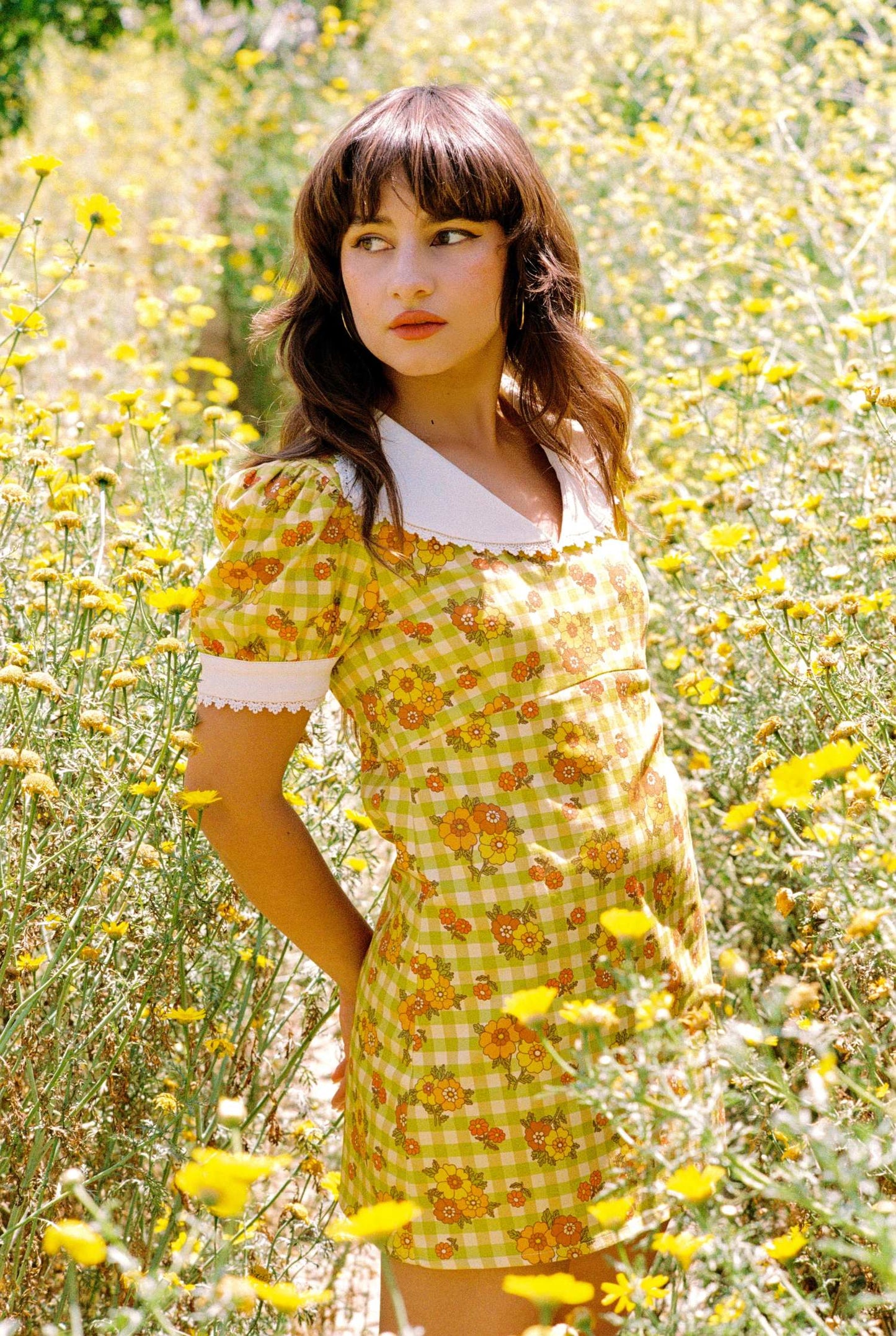 Mary - Frill Collar Mini Dress - Gingham Garden