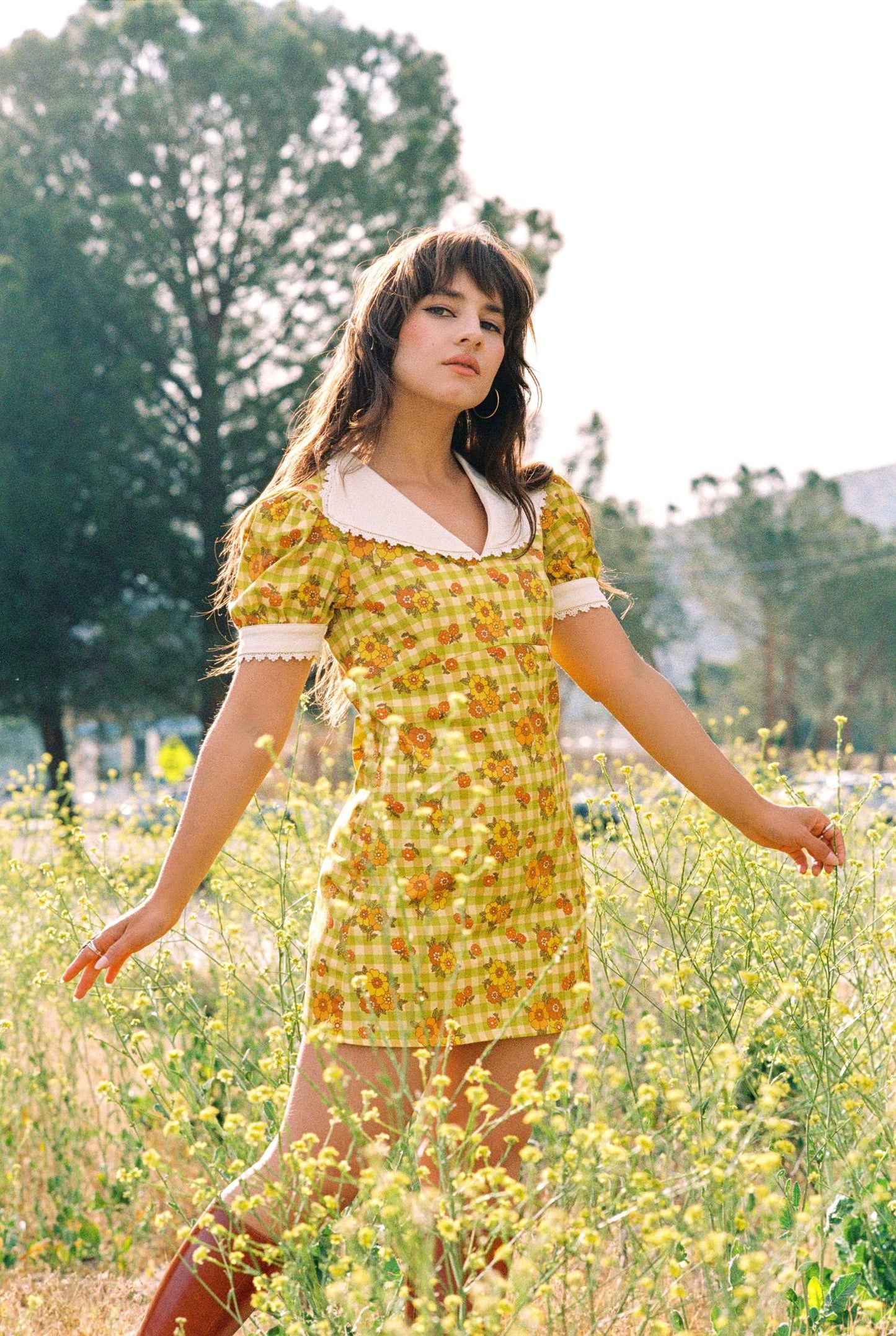 Mary - Frill Collar Mini Dress - Gingham Garden